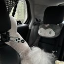 유니스펫살롱 이미지