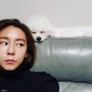 내새끼 펫 이미지