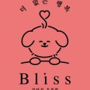 Bliss 강아지 유치원 이미지