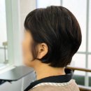 에이치약국 | 조례동미용실 애견동반 가능한 에이치헤어 새치커버 염색 숏보브 후기