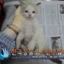 지에스25 잠실2점 이미지