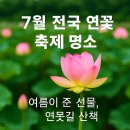 구드래체육공원4(20018) | 7월 전국 연꽃 축제 명소에서 만난 여름이 준 선물, 연못길 산책