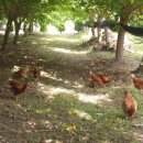 청해펜션 이미지