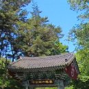 양지편길 이미지