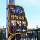 간월도캠핑장 | 홍성캠핑장 캠핑장추천 상황오토캠핑장 A사이트, 남당항 가까운 서해캠핑장