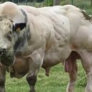 헐크PC방 이미지