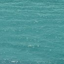 원앤우마르 이미지