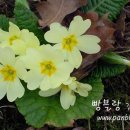 별밭에서 이미지