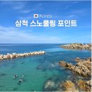 용화치킨 | 삼척 장호항 용화해수욕장 스노쿨링 포인트 물고기 본 후기