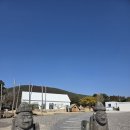 로비니아 | [알프스제주] 제주 동쪽 세돌아이랑 가볼 만한 곳 승마체험 후기