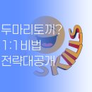 스카이(SKY) 해법수학 | 내신과 수능, 두 마리 토끼를 잡는 1:1 화상과외의 전략적 해법