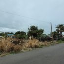 남원읍-124 이미지