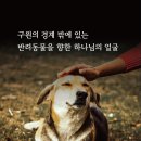 대한예수교장로회 감천중앙 교회 | [2025년 11월 3주차] 뉴스앤조이 한 주 요약🗞️