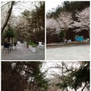 별의정원 이미지