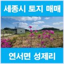 우리땅공인중개사사무소 이미지