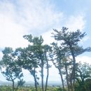 신흥리4길 이미지