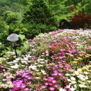 허브내음 이미지