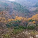 용봉산주차장 - 우 이미지