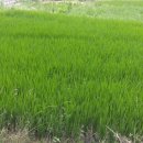 탑연1리 이미지