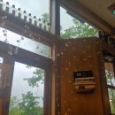 영등동-63 이미지