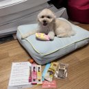 바르다펫 중화점 이미지