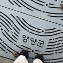 나루게스트하우스 | [양양 여행]연휴 전날 극적으로 구한 "루나인 게스트하우스" 파티 & 여자 도미토리 솔직 후기