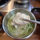 용궁복어 이미지