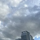 대명헬스사우나 | [강릉 가족여행] 내돈내산 오션뷰 세인트존스호텔 경포해변 국내여행 스테디셀러 솔직후기