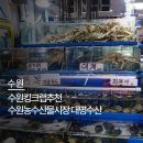 수원-0010 이미지