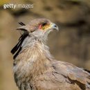 호수마을월드도서관 이미지