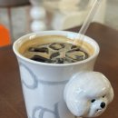 카페코이 - 유성구 은구비로155번안길 47 | 카페코이