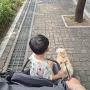 헬로우 그루밍 이미지