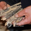 꼬챙이 - 구로구 경인로25길 5 | 꼬챙이