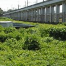 노화태양광발전소 이미지