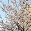 한씨네한정식 이미지