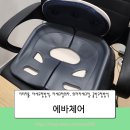 지티비몰 | 자세교정의자 지티지몰 에바체어 사용 후기