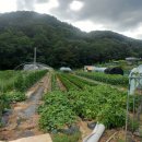 풍년농장 이미지