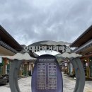 열목어마을 | 가을 평창 가볼만한곳 월정사 다람쥐도 있는 전나무숲길 (+주차)