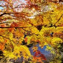 남도예담 이미지