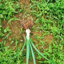 큰아빠네 이미지