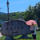 7월8일 1박2일 화순적벽, 보성윤제림수국 ,운수사,고인돌 유적지,세량제,환산정 탐방 이미지