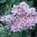 항아리민박 이미지