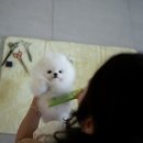 스테이 모량 이미지