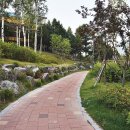 해모로코너공인중개사사무소 이미지