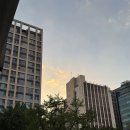 싱글벙글복어석적직영점 | 여전히 더운 9월_일상