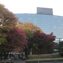 그랜드하얏트서울 이미지