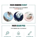 카이저 동물병원 이미지