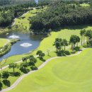 델피노숲 네이버블로그