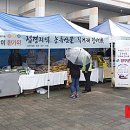 (주)인제명품오미자 뉴시스