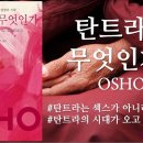 비전 비